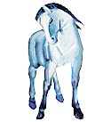 Blaues Pferd