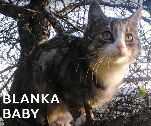 blanka_baby640x535.jpg