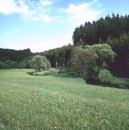 kmaeande